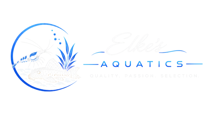Elke's Aquatics